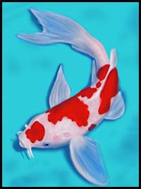 How to Draw a Koi Fish