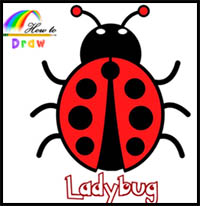 How to Draw Cartoon Ladybugs & Realistic Ladybugs : Drawing Tutorials &  Drawing & How to Draw Ladybugs Drawing Lessons Step by Step Techniques for  Cartoons & Illustrations