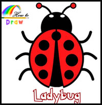 How to Draw a Ladybug Easy Step by Step