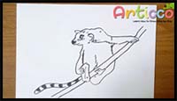 How to Draw Lemur for Kids