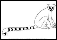 How to Draw a Ring-Tailed Lemur
