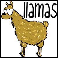 How to Draw Cartoon Llamas with Easy Step by Step Drawing Tutorial