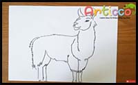 How to Draw Llama