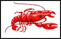 How to Draw a Lobster