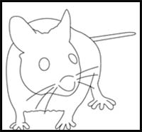 How to Draw a Wood Mouse