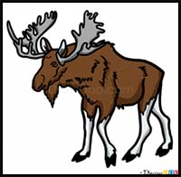 How to Draw Moose