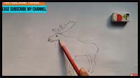 How to Draw a MOOSE