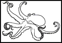 how to draw an octopus step by step