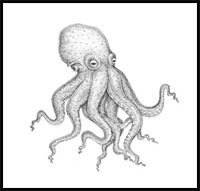 How To Draw Octopus Drawing Tutorials Drawing How To Draw Octopus Drawing Lessons Step By Step Techniques For Cartoons Illustrations Here presented 61+ realistic octopus drawing images for free to download, print or share. to draw octopus drawing lessons step