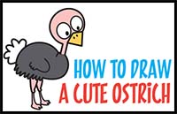 How to Draw a Cute Cartoon Ostrich Easy Step by Step Drawing Tutorial for Kids & Beginners