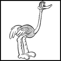 How to Draw Cartoon Ostriches with Easy Step by Step Drawing Lesson