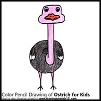 How to Draw an Ostrich for Kids