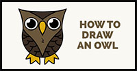 how to draw an owl in cartoon style