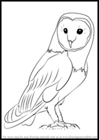 step by step drawing tutorial on how to draw an owl