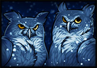 how to draw night owls