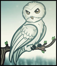 how to draw Hedwig from Harry Potter