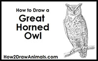 how to draw a great-horned owl