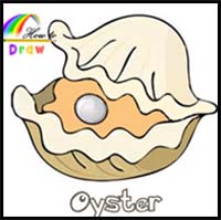 How to Draw an Oyster Easy Step by Step
