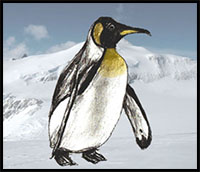 how to draw an Emperor Penguin