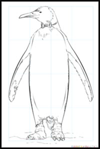 how to draw a King Penguin