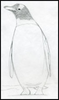 how to draw a penguin