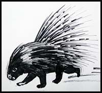 Learn How to Draw a Porcupine