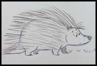 Draw a Cute Porcupine - Cartoon Animals for Beginners