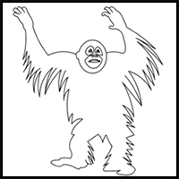 how to draw a bornean orangutan