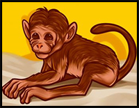 how to draw a chimeric monkey