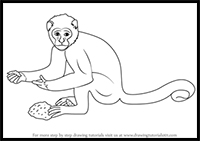 step by step drawing tutorial on how to draw a monkey