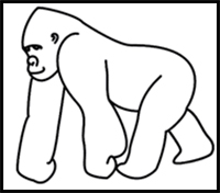 how to draw a gorilla