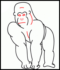 how to draw a gorilla