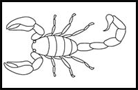 Scorpion Coloring Page  Easy Drawing Guides