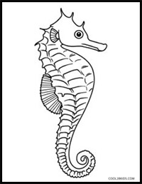 how to draw a seahorse step by step