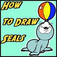How to Draw Cartoon Seals Playing with Ball on Nose Drawing Lesson with Easy Steps