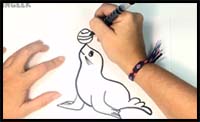 How to Draw a Seal for Kids