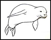 How to Draw a Common Seal