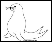 Featured image of post Cute Fat Seal Drawing Howtodraw seal learncolors drawing coloringpage videoforkids how to draw cute seal learn colors video for kids