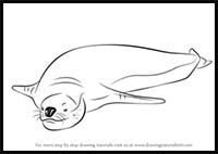 How to Draw a Leopard Seal
