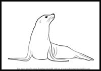 How to Draw a Seal