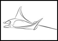 How to Draw a Manta Ray