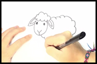 How to Draw a Sheep for Kids