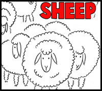 How to Draw Sheep Grazing in a Field