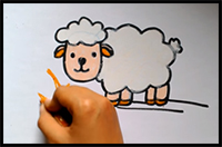 How to Draw Sheep