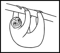 How to Draw a Sloth Step by Step
