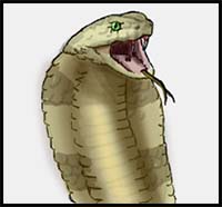 How to Draw a King Cobra Snake