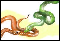 How to Draw Snakes