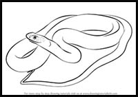 How to Draw a Blue Racer Snake