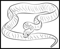 How to Draw a Sand Python