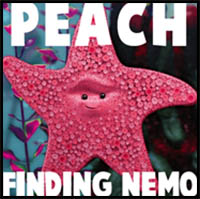 How to Draw Peach from Finding Nemo with Easy Step by Step Drawing Tutorial